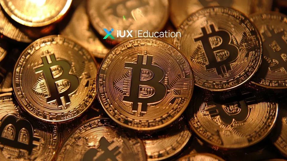 Why Bitcoin (BTC) Is the Most Important Digital Currency