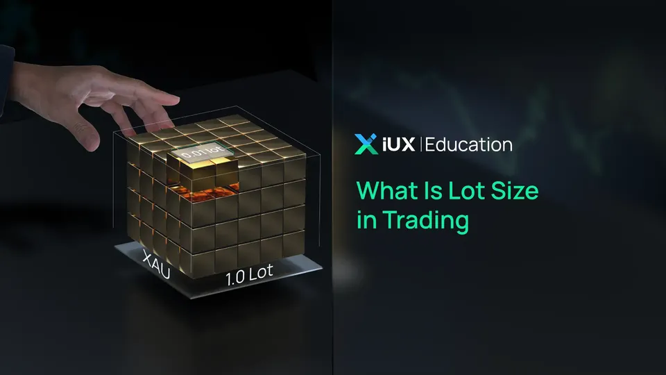 What Is Lot Size in Trading and How Do You Calculate It?
