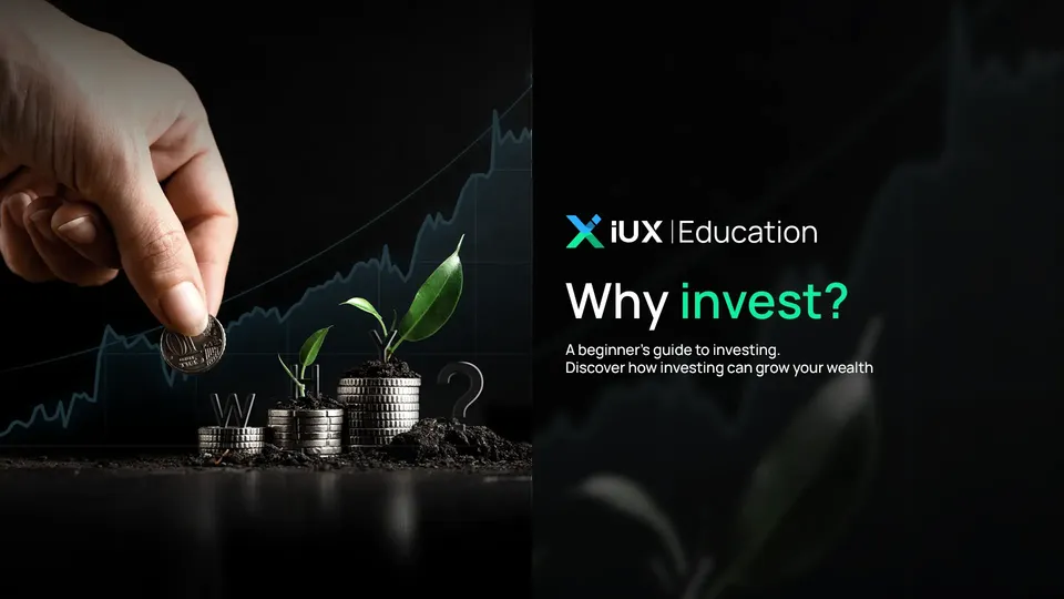 Why invest?