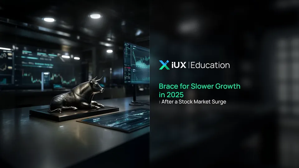 Brace for Slower Growth in 2025 After a Stock Market Surge