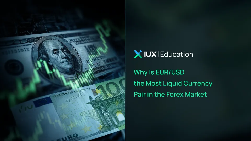 Why Is EUR/USD the Most Liquid Currency Pair in the Forex Market?
