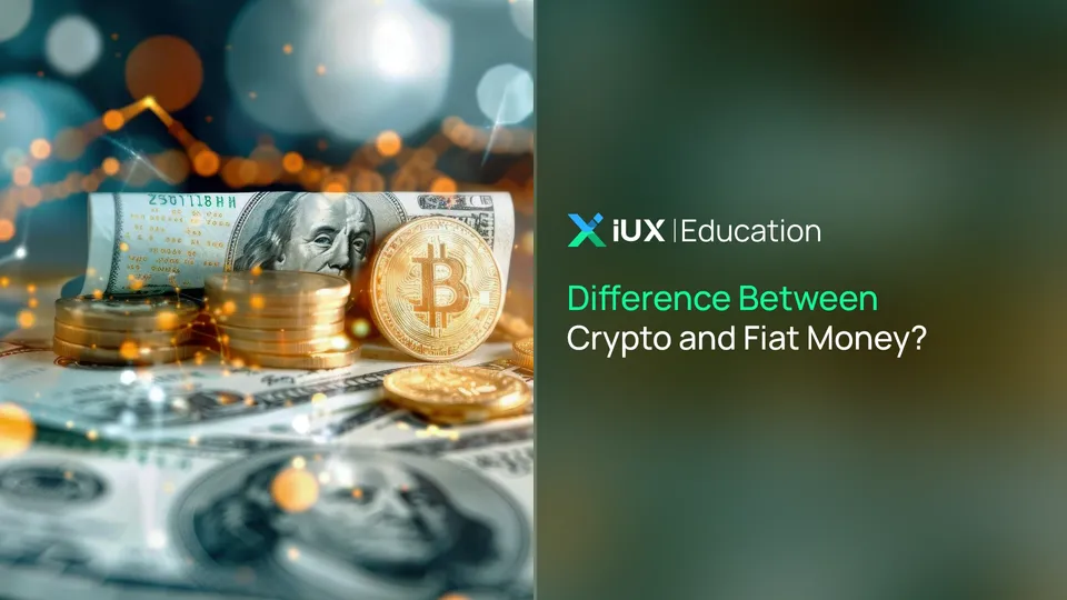 What's the Real Difference Between Crypto and Fiat Money?