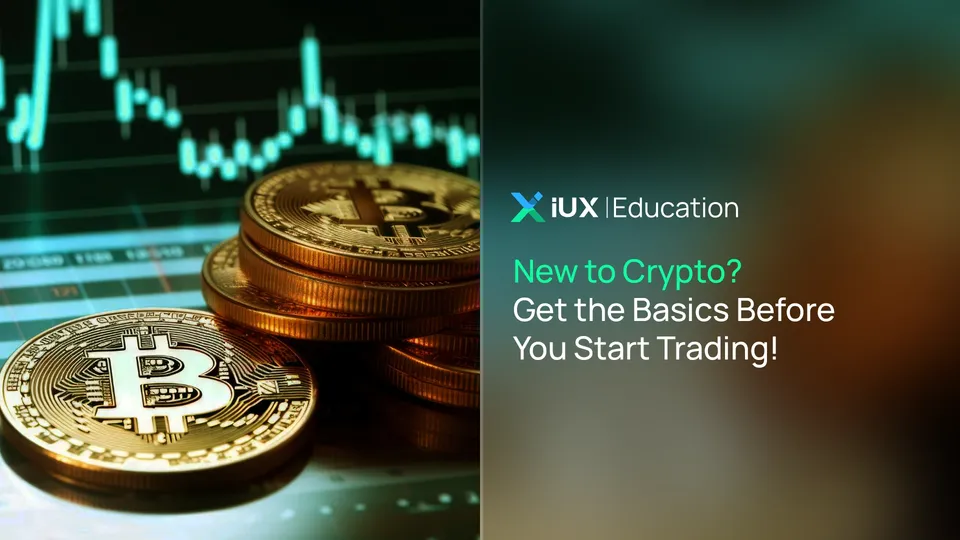 New to Crypto? Get the Basics Before You Start Trading!