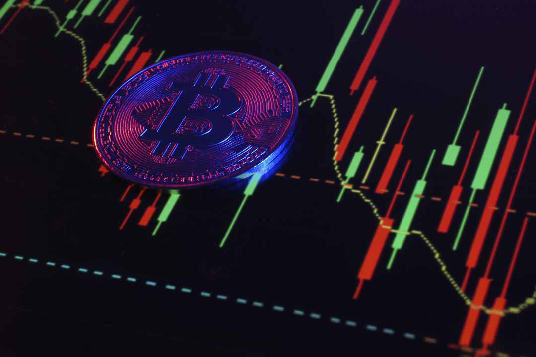 New to Crypto? Get the Basics Before You Start Trading! illustration